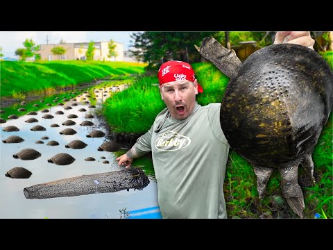 Catching TONS of TURTLES in MY HOMEMADE Trap!!