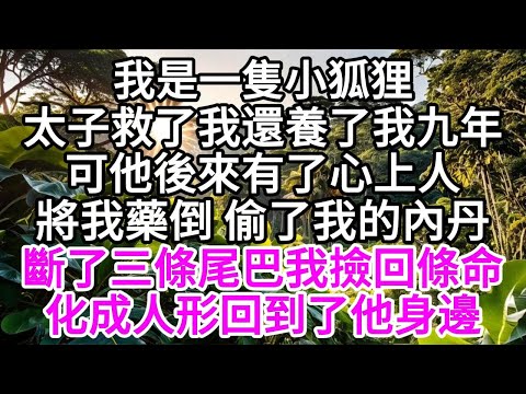 我是一隻小狐狸，太子救了我，還養了我九年，可他後來有了心上人，將我藥倒，偷了我的內丹，斷了三條尾巴我撿回條命，化成人形回到了他身邊 【美好人生】