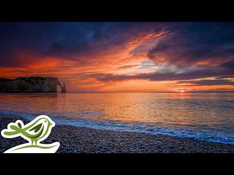 Beautiful & Emotional Piano Music with Relaxing Ocean Waves | Relax, Sleep, Focus