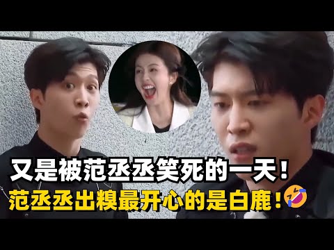 被范丞丞笑死的一天！范丞丞出糗最爽的是白鹿吧！嘴都笑歪了 | 爆笑综艺社