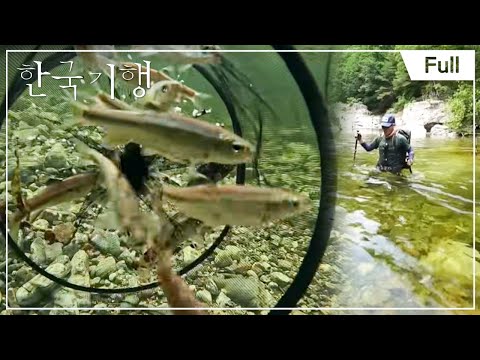 [Full] 한국기행 - 기다렸다, 여름 맛 1부 ~ 5부