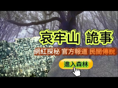 【粵下講詭】| 哀牢山詭事！帶你了解網紅探秘，官方報道，民間傳說中的哀牢山！|  #詭異  #超自然現象 #超自然事件 #廣東話