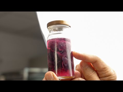 用水果養出天然酵種，連空氣都是香的｜Grow Your Own Natural Fruit Yeast – It Even Smells Amazing!