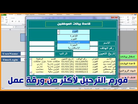 Create a user form to transfer data to more than one worksheet in Excel VBA