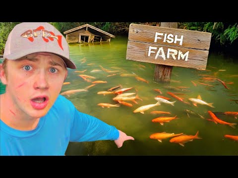 I Found an Abandoned Fish Farm!