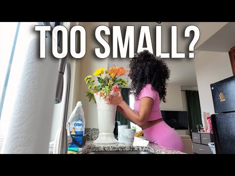 Big Life in 456 Square Feet? Here's What I Mean