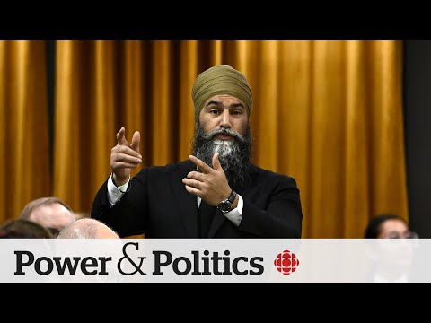 NDP appears to shift on carbon tax | Power & Politics