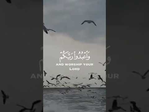 ان لله وان اليه راجعون سبحانك اللهم وبحمدك اشهد ان لا اله الا الله محمد رسول الله #قران_كريم