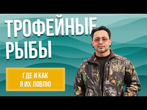Гиганты воды: Трофейные сазаны, амуры и толстолобики-монстры!