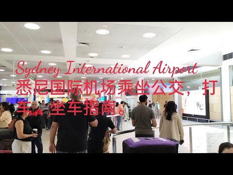 Sydney International Airport transport 悉尼国际机场交通工具指南