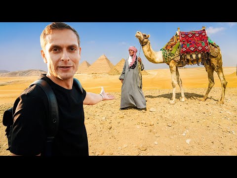 I Bought A Camel In Egypt, Then Gave It To A Deserving Family