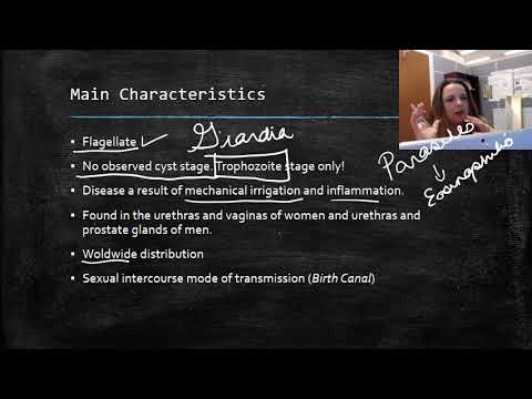 Trichomonas vaginalis