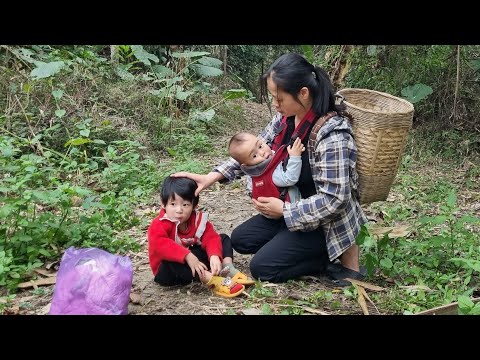 full video 30 days:single mother harvest & rescuing an abandoned baby girl-build a bamboo house