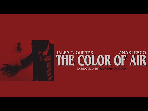 VYNNI - The Color of Air (Official Short Film)