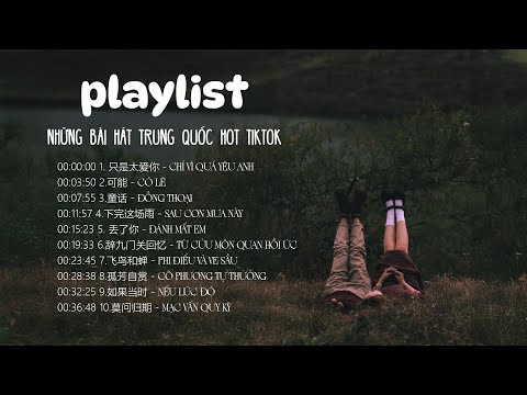 [Playlist - Nhạc Trung Hot Tiktok] Chỉ Vì Quá Yêu Anh - Có Lẽ - Phi Điểu Và Ve Sầu...