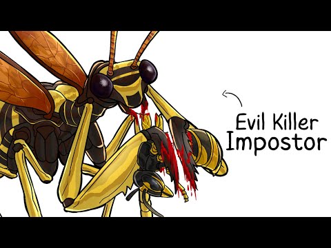 Why it Sucks To Be Born As a Wasp Mantidfly
