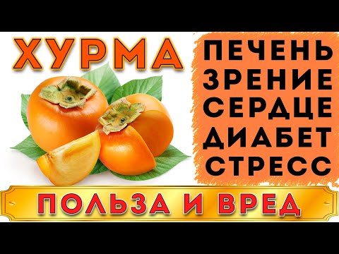 ХУРМА - ПОЛЬЗА И ВРЕД (ВСЕ КАЧЕСТВА ХУРМЫ ОТ ПОЛОЖИТЕЛЬНЫХ ДО ОТРИЦАТЕЛЬНЫХ. ИЗ-ЗА ЧЕГО ВЯЖЕТ ХУРМА)