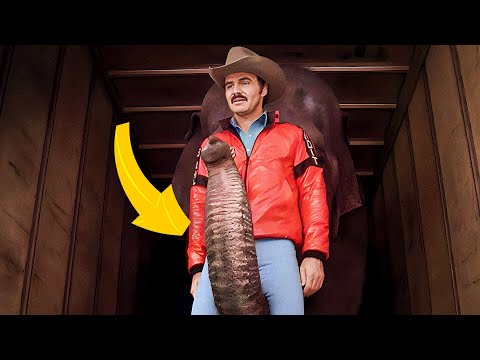 Smokey And The Bandit II (1980) 25 Cool Facts About The Movie Sequel