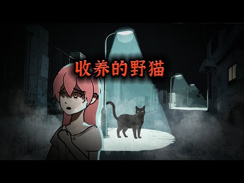 你们有没有想过，猫比你想象的要聪明！