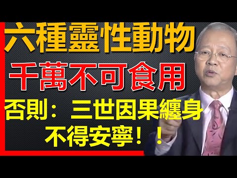 這六種靈性動物，千萬不可傷害或食用，否則遭遇三世因果纏身不得安寧！#國學智慧 #因果 #人生感悟 #易經 #正能量 #