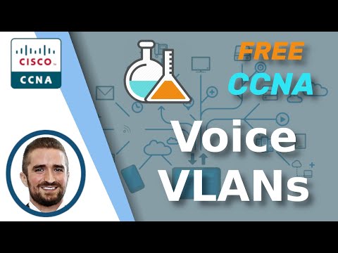 Free CCNA | Voice VLANs | Day 46 Lab | CCNA 200-301 Complete Course