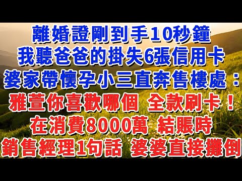 離婚證剛到手10秒鐘，我聽爸爸的掛失6張信用卡，婆家帶懷孕小三直奔售樓處：雅萱你喜歡哪個 全款刷卡！在消費8000萬 結賬時，銷售經理1句話 婆婆直接攤倒！#小娟講故事 #情感故事 #老年生活