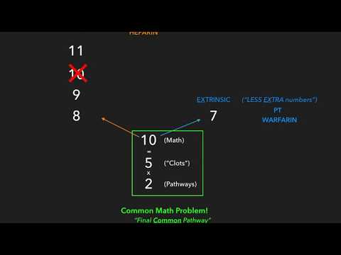 Coagulation Cascade || USMLE