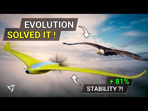 🦅 I Recreated Evolution’s Wing Design to Build an Ultra-Efficient UAV Flying Wing