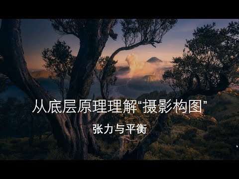 【Thomas看看世界】只会套用三分法？教你从根源上理解摄影构图，绝对干货！| 摄影教程