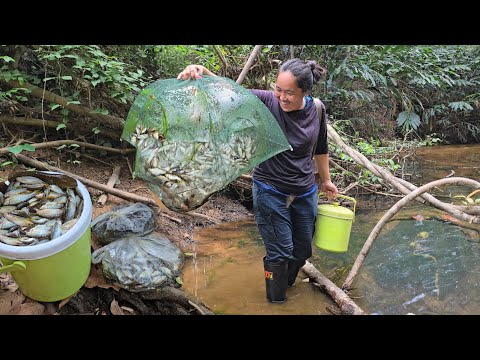 Multiple fishing traps!! A fantastic spot for mountain ricefish. Fishing during the day for 2-3 h...