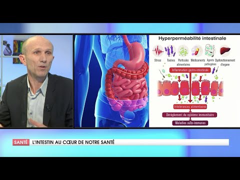 COMMENT L'INTESTIN CONTRÔLE NOTRE SANTÉ ?