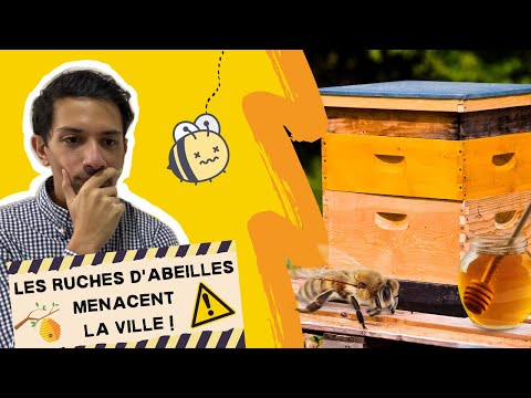 Installer une ruche... la fausse bonne idée ?