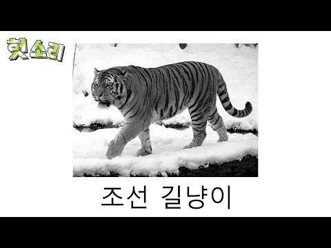 [병맛더빙] 어딘가 잘못된 조선 호랑이 썰