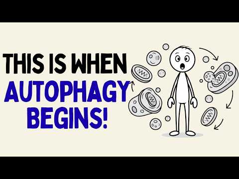 How Long Could You Fast Before Triggering Autophagy? (Science Explained)