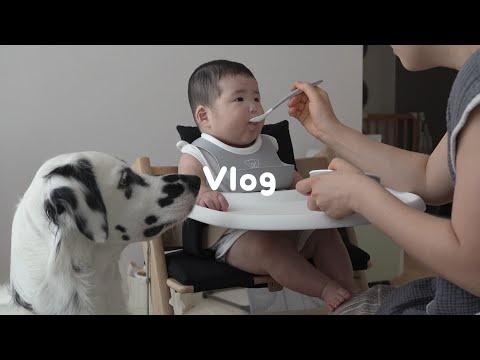 6 MONTH OLD BABY FIRST SOLIDS VLOG 👶🏻 2 WEEK FEEDING JOURNEY & TIPS