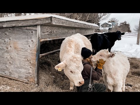 They Grow Up So Fast