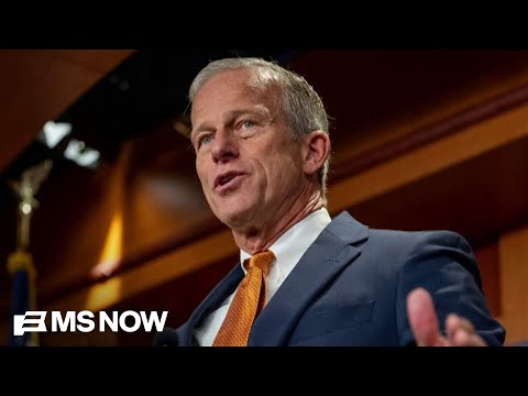 Epstein bill drives wedge between Johnson, Thune