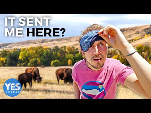 Letting Chat GPT control our lives for 72hrs