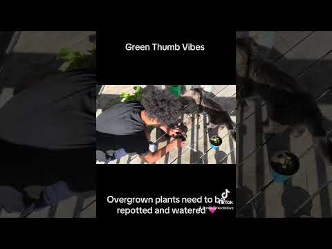 Planting has been such a grounding experience. These plants were overgrown and needed to be watered