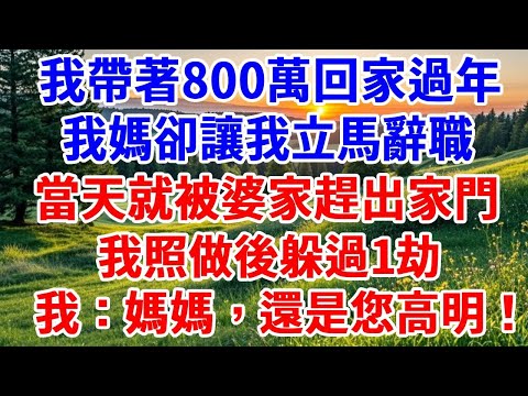 我帶著800萬回家過年，我媽卻讓我立馬辭職，當天就被婆家趕出家門，我照做後躲過1劫，我：媽媽，還是您高明！#詩涵講故事#為人處世#生活經驗#情感故事#晚年哲理#說故事#完結文#原創故事