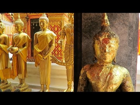 Doi Suthep + Coffee Plantation | Chiang Mai Day Trip
