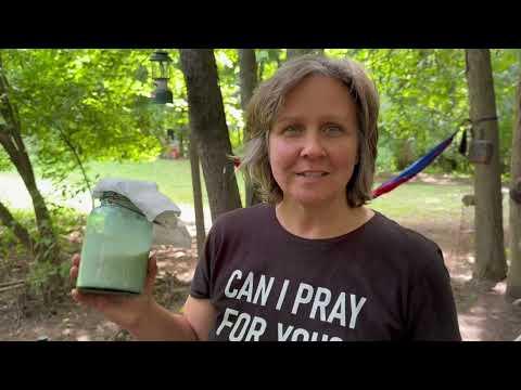 Wood Ash Lye Soap. Step by Step DIY over the campfire. 