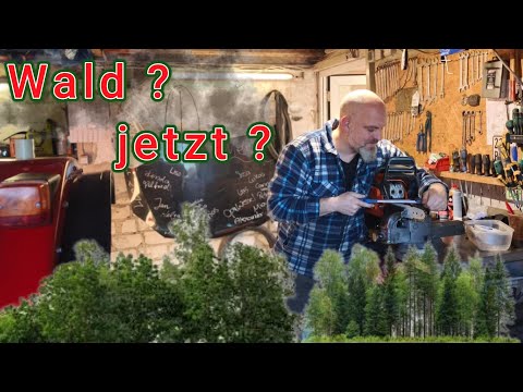 Wald? jetzt? | Nun aber schnell vorbereiten.