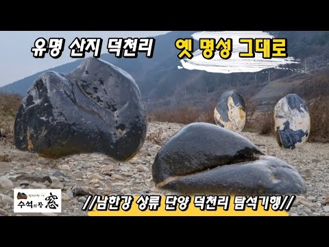 남한강 상류 단양 덕천리 탐석기행.A trip to find wonderful stones in Deokcheon-ri, Danyang, Korea.