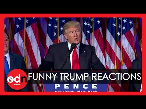 The Best Reactions to Donald Trump You Never Noticed!