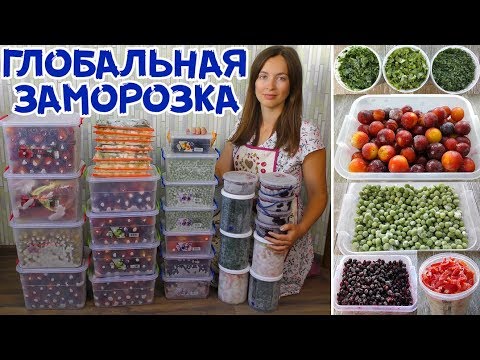 БОЛЬШАЯ ЗАМОРОЗКА ПРОДУКТОВ НА ЗИМУ! Как храню и Что замораживаю?