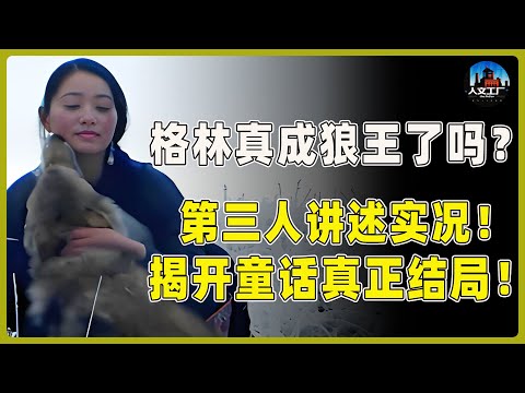 格林真的当上狼王了吗？第三人讲述真实情况！揭开童话背后的真正结局！#重返狼群 #李微漪 #马未都#许子东#尹烨#圆桌派 #圆桌派第八季 #格林