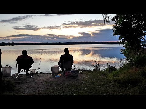 Рыбалка с Ночевкой на Чигиринском Водохранилище. Карась и Подлещик на Фидер. Рыбалка на Карася.