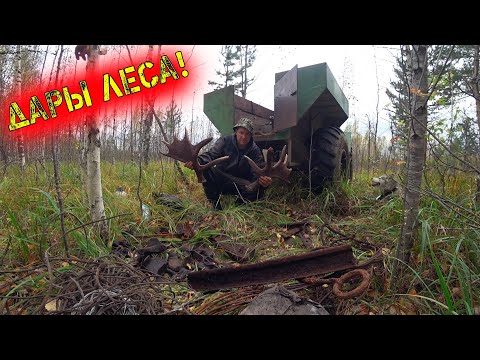 СЕГОДНЯ ОТЛИЧИЛИСЬ ВСЕ!!! УДАЧНЫЙ ВЫЕЗД В ЛЕС ЗА МЕТАЛЛОЛОМОМ!!! ОТЛИЧНЫЕ НАХОДКИ!