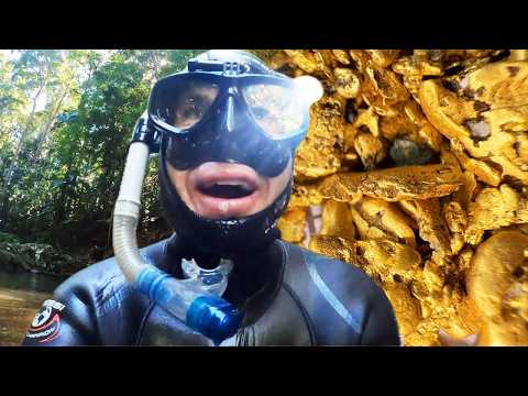 A DANGEROUS mission for GOLD leads to RICHES!!